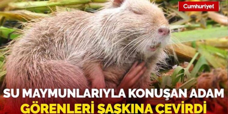 Turkish and Russian Presidents to convene in Sochi on monday