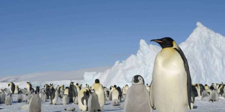 Kadıköy’de çiçek satan iki grup arasında kavga: Polis biber gazıyla müdahale etti!
