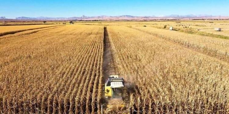 TÜİK açıkladı: Tarımsal girdi enflasyonu haziranda yüzde 27.7’ye geriledi