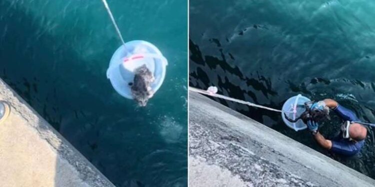 Deprem bahanesiyle öğrenciler okullarından çıkarılmıştı… Okul kaymakamlığa verildi: Dersler 21.45’te bitiyor!