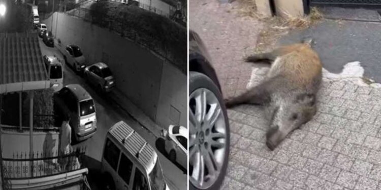 İzmir’de keşfedilememiş fayların tespiti yapılacak