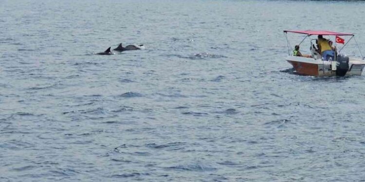 FETÖ’den üniversite öğrencilerine ‘senetli’ tuzak