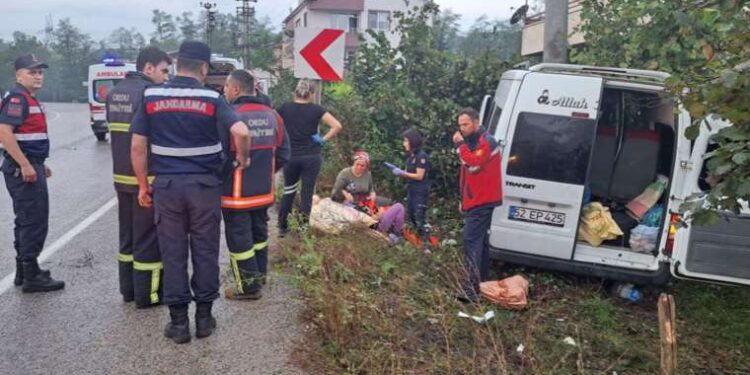 Asma yaprağı nasıl saklanır? Asma yaprağı saklama yöntemleri!