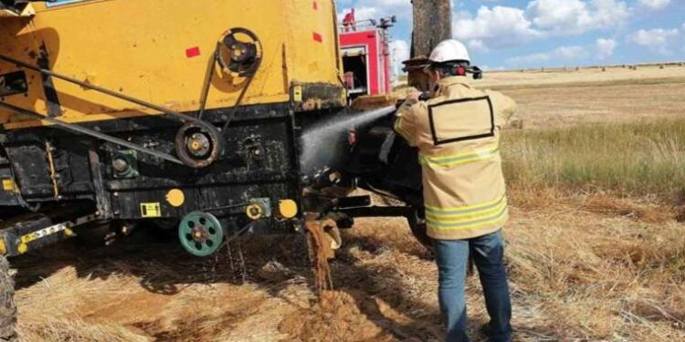 Cephanelik gibi ev: Adana’da bir evde çok sayıda silah ve mermi ele geçirildi!
