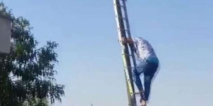 ‘Succession’ 2023 Televizyon Eleştirmenleri Birliği Ödüllerine damgasını vurdu