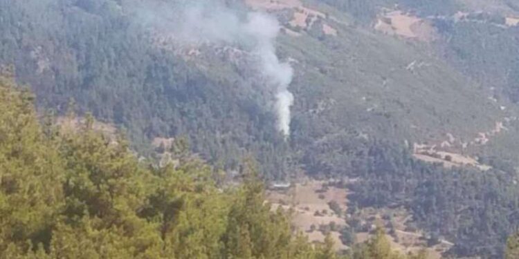 Sokak köpeklerini besledikleri için darbedildiler: ‘Kendisini savcı olarak tanıttı’