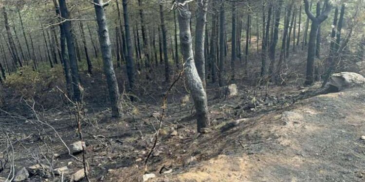 ABD, İsrail yapımı 3 ‘Demir Kubbe’ hava savunma sistemi bataryası almayı planlıyor