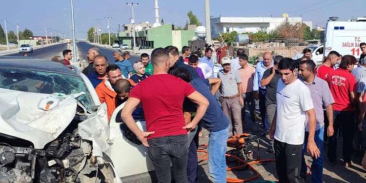 Dünyanın en büyük şirketleri yapay zeka için güçlerini birleştiriyor