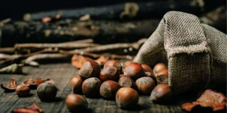 Şanlıurfa’da iş cinayeti: Elektrik akımına kapılan işçi hayatını kaybetti