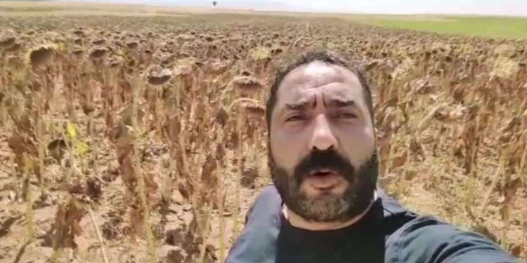 Şili darbesinin perde arkası: İstihbarat raporları yayımlandı