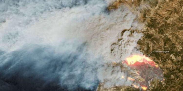 Europe space chief warns over political wavering on climate