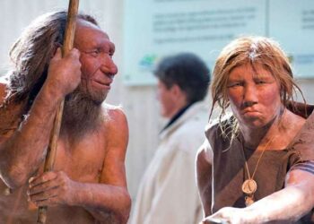 Midyeci Ahmet, halka arz başvurusuna hazırlanıyor