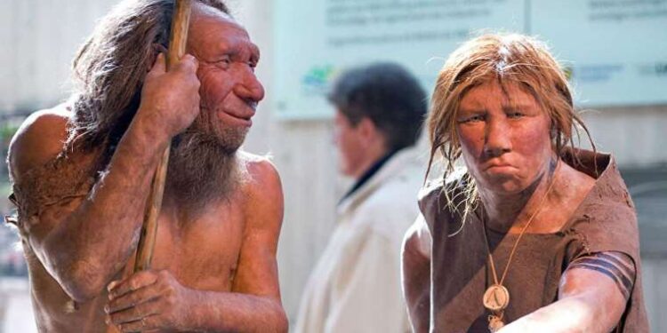 Midyeci Ahmet, halka arz başvurusuna hazırlanıyor