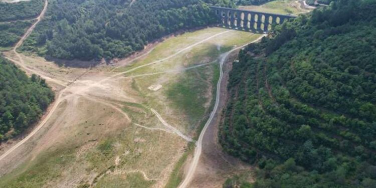 Elon Musk’tan yeni karar: Twitter’da engelleme düğmesi kaldırılıyor!