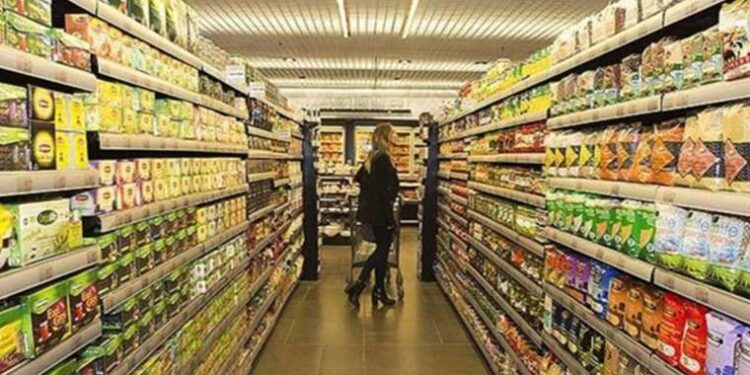 Bilim dünyasını şaşkına uğratan keşif: Kuş benzeri dinozor fosili bulundu