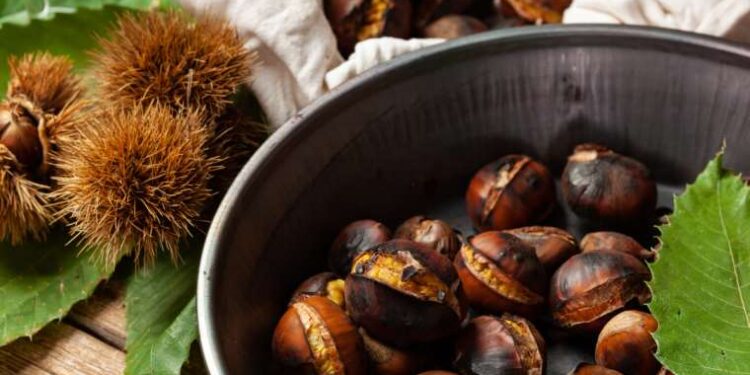İranlı kadınlardan başörtüsüne ‘kefenli’ destek yürüyüşü