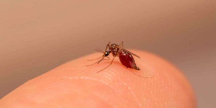 Tunç ​Soyer: Son nefesimize kadar 9 Eylül’e İzmir’e sahip çıkacağız