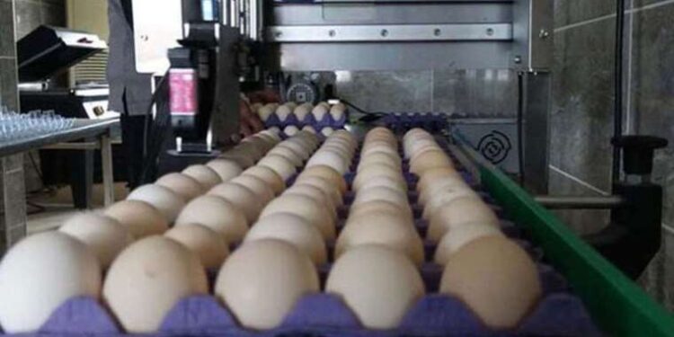 Doğukent deprem sonrası ‘hayalet kente’ döndü: ‘Çocuk sesleri bitti’