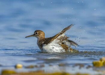 Türkiye ilk 20’de! İşte yeni sosyal medya raporu