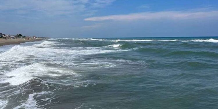 Bodrum kıyılarından 2 bin 283 kilogram atık çıktı