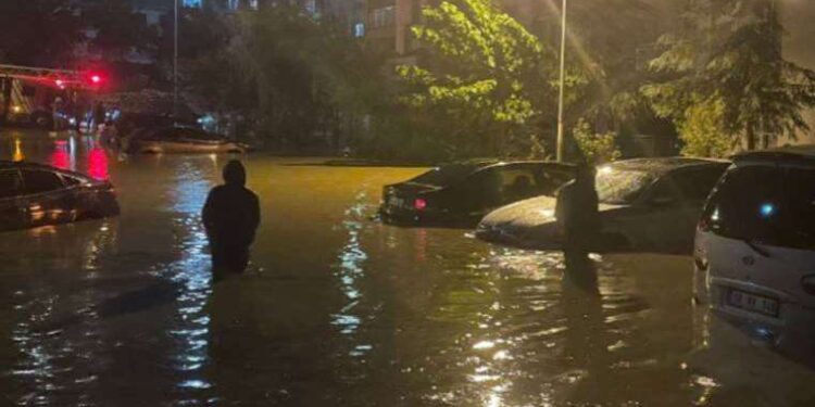 İzmir Fuarı’nda gençlerle karakılçık buğdayı konuşuldu