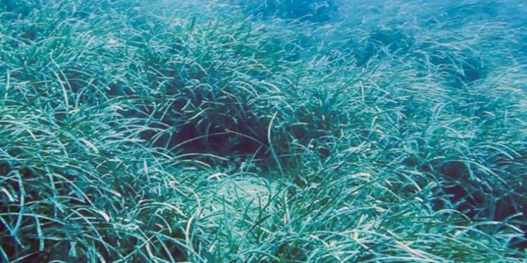 İYİ Partili vekil borç batağında sürüklenen çiftçilerle görüştü.Yeni ürün ekemeyecek durumdalar…