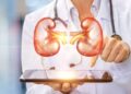 Böbrek iltihabının 7 önemli belirtisi