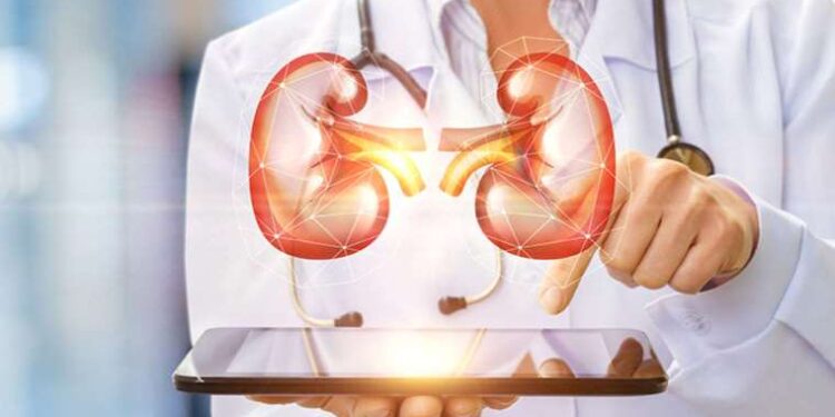 Böbrek iltihabının 7 önemli belirtisi