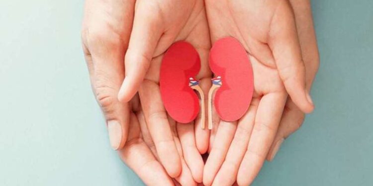 Uzmanı açıkladı: Böbrek sağlığı için bunlara dikkat edin