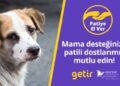 Getir’den hayvan barınaklarına 1,5 milyon kap mama