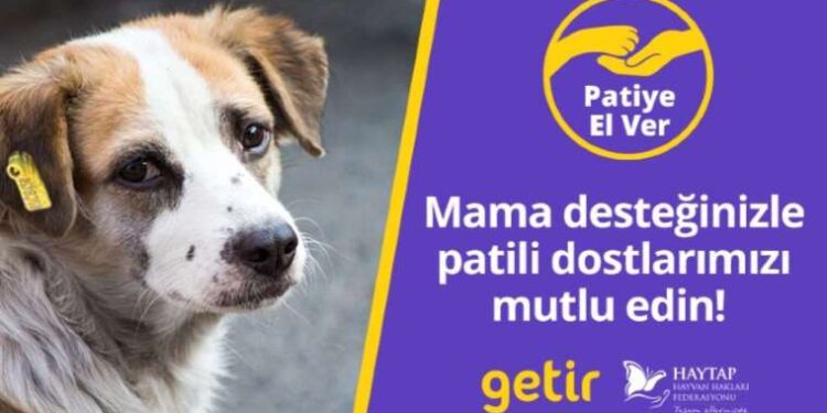 Getir’den hayvan barınaklarına 1,5 milyon kap mama