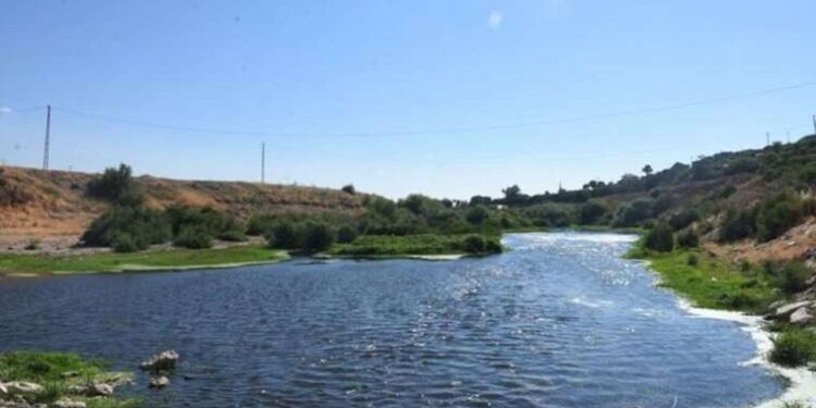 Gabon’da neler oluyor: 56 yıldır ülkeyi yöneten aile darbeyle devrildi!