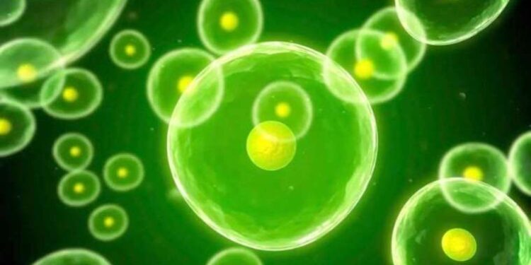 Biyografik film Ferrari’den ilk fragman!