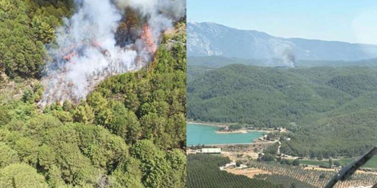 İtalya’da binlerce peynir tekerleği üzerine düşen bir üretici öldü