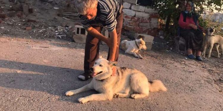 Adli Tıp önünde annenin en acı anı… Cenazeyi beklerken çocuğunun oyuncağına ve biberonuna sarılarak ağladı