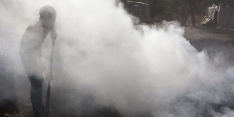 Bu iş için 800 kilometre yol gidiyorlar! Tonu 14 bin liraya satılıyor