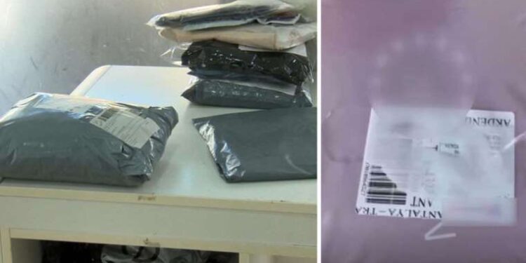 Elton John hospitalized after fall at home