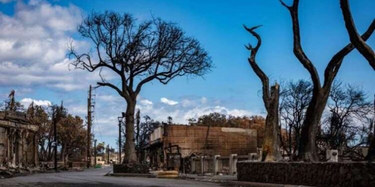 Maui's emergency management chief resigns