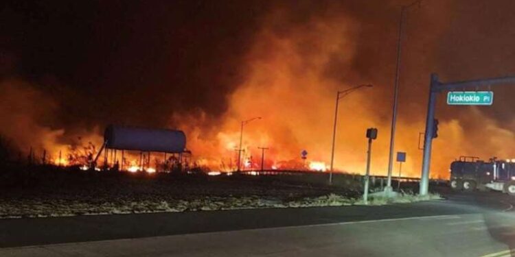 Yeni Şanlurfa Valisi Hasan Şıldık kimdir? Hasan Şıldık kaç yaşında, nereli?