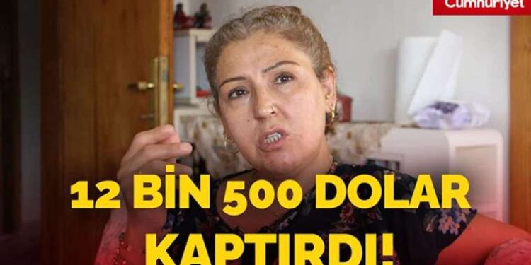 IBM’nin tasarladığı çip insan beyni gibi çalışıyor