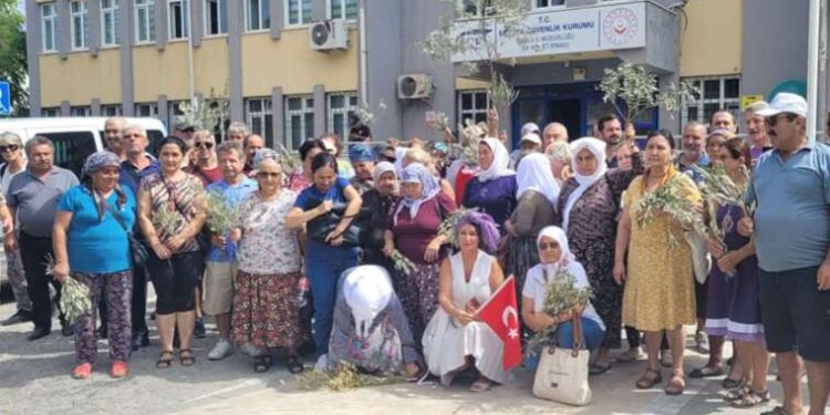 Hayrettin Gül kimdir, kaç yaşında, nereli? Hayrettin Gül neden hapisteydi? Hayrettin Gül’ün cezası neden kaldırıldı?