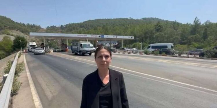 Bir süperiletkenin içinde ‘şeytan’ parçacığı gözlemlendi