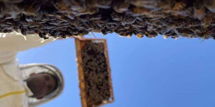 İsveç’in Beyrut Büyükelçiliğine saldırı düzenlendi