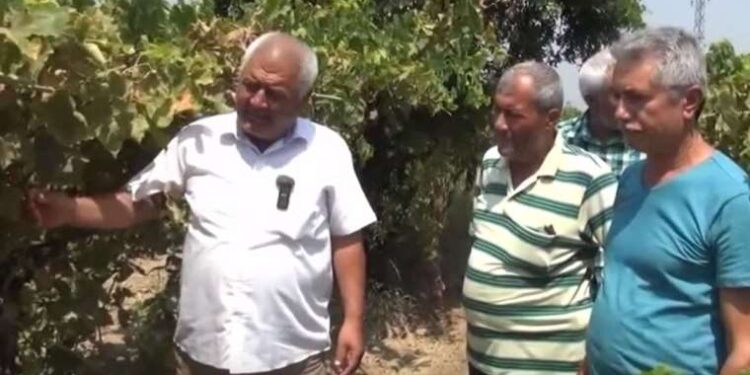 Aydın’da uyuşturucu operasyonu… 51 zanlı yakalandı!