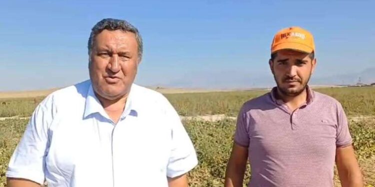 Belçika’da polisten 9 yaşındaki çocuğa okulunda sert müdahale