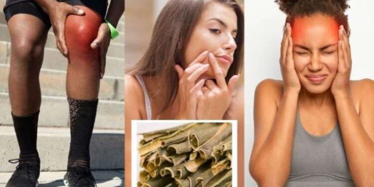 Vücuttaki iltihapları anında kurutuyor! Adeta doğal antibiyotik