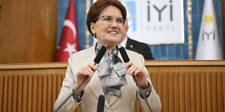 Boğazını keserek öldürmüştü… Anne katiline ağırlaştırılmış müebbet istendi