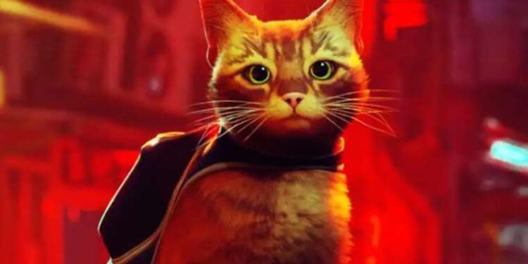 46 yaş küçük eşine boşanma davası açtı: ‘Para avcısı’