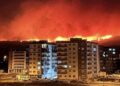 Tenerife residents returning home