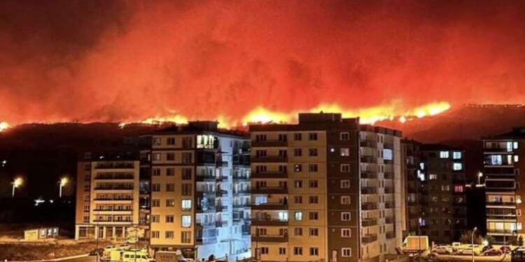 Tenerife residents returning home
